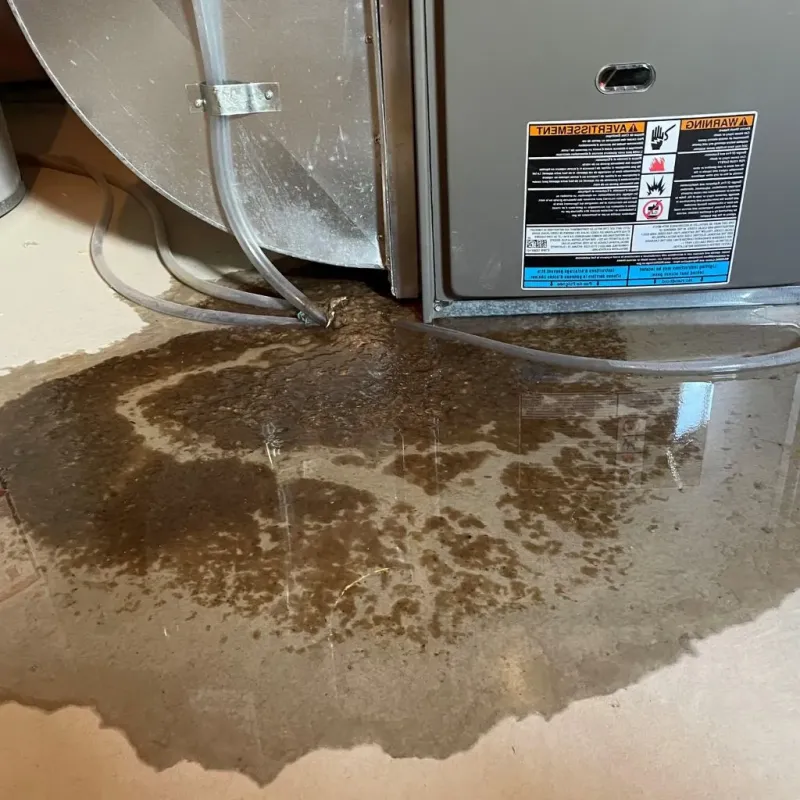 Pipe Burst and Leak Restoration in Sebree, KY