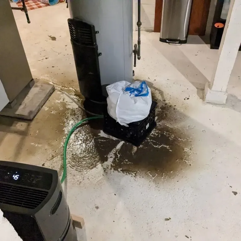 Sewage Backup Cleanup Service in Sebree, KY